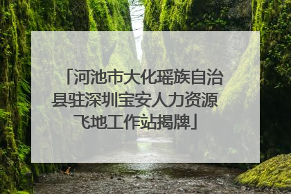 河池市大化瑶族自治县驻深圳宝安人力资源飞地工作站揭牌
